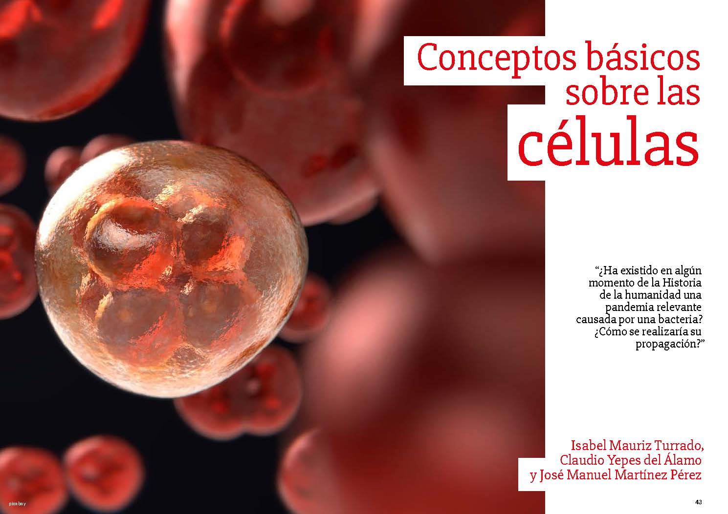 Conceptos básicos sobre células