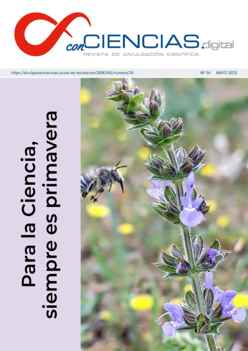 Portada_34