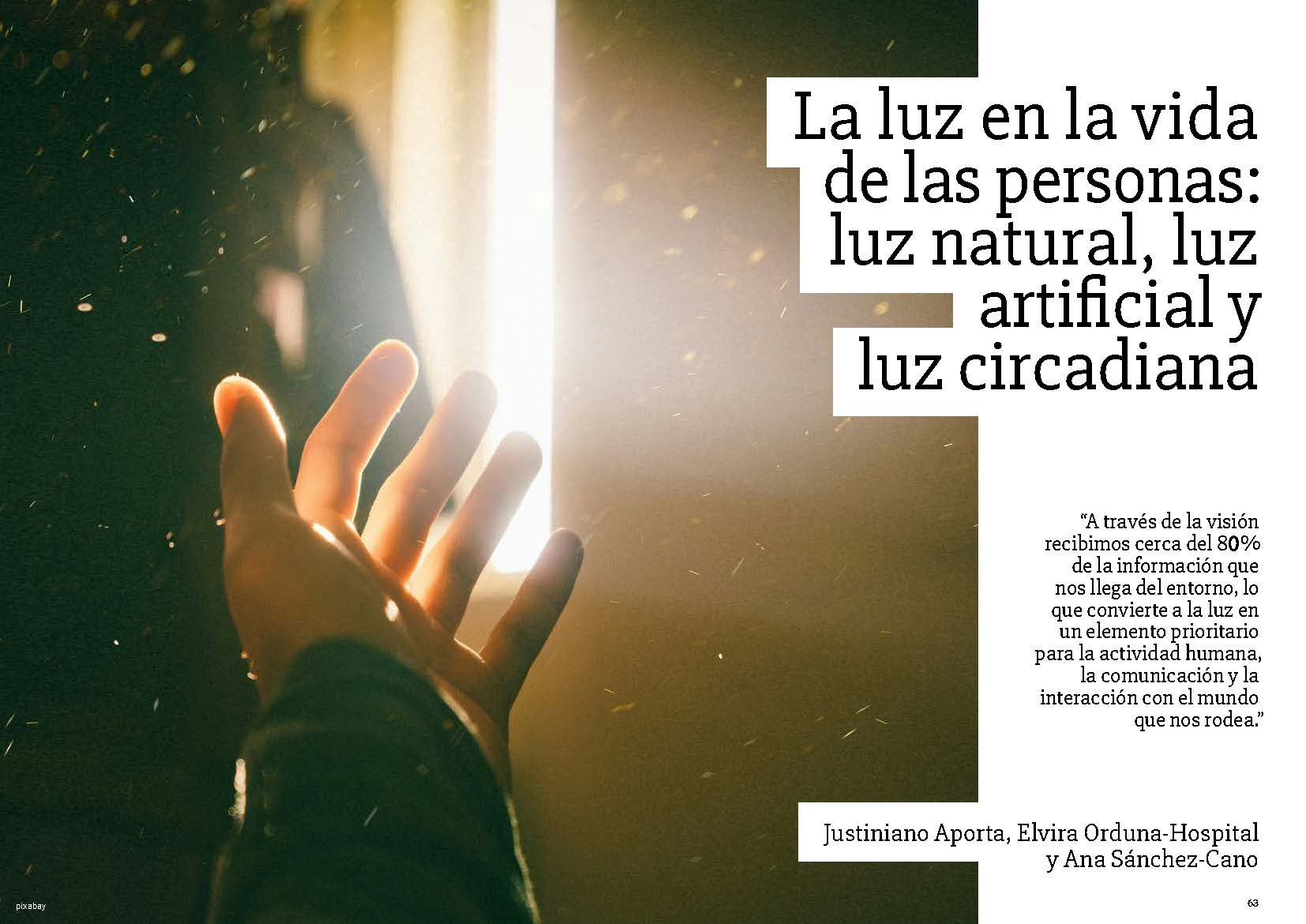 Articulo